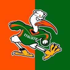 TS044 University of Miami Sebastian